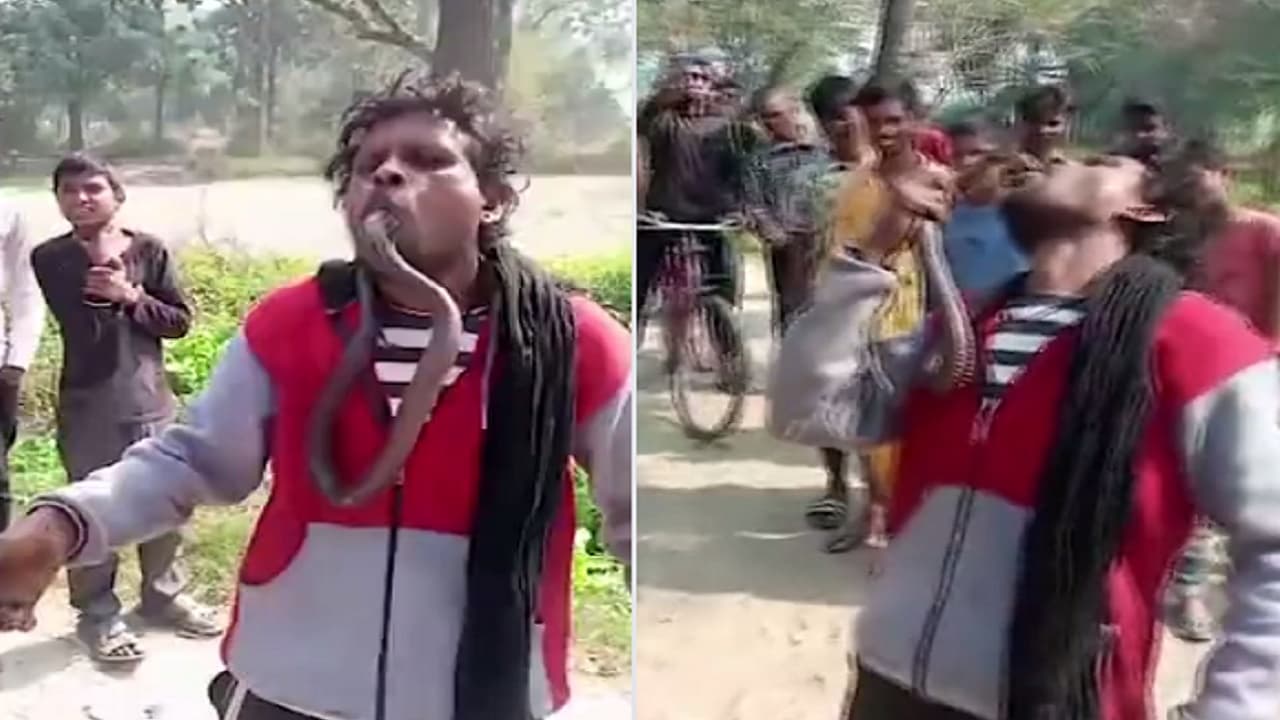 सीवान में सांप के साथ स्टंट करना पड़ा महंगा, गले में लटके सांप ने ली युवक की जान