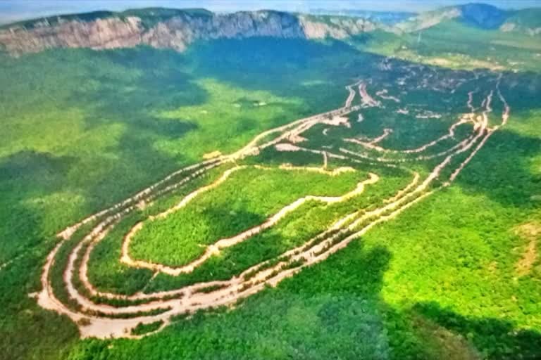 Bihar News: बिहार को 2021 में  मिलेगा बड़ा गिफ्ट, 4 KM लंबे जंगल में वन्य जीवों, पक्षियों व तितलियों के बीच खो जाएंगे आप