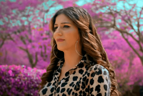 मां बनने के बाद सपना चौधरी का नया गाना Katal रिलीज, Youtube पर धूम मचा रहा VIDEO