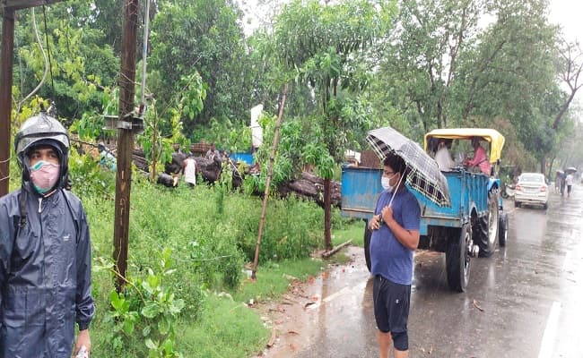 Yaas Cyclone, Bihar Weather Forecast  Updates:  बिहार में मौसम बिगड़ने से 7 की मौत, आज भी बारिश के आसार