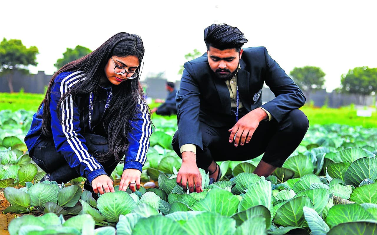 Career in Agriculture: एग्रीकल्चर सेक्टर में बनाना चाहते हैं अपना करियर, तो ऐसे करें तैयारी