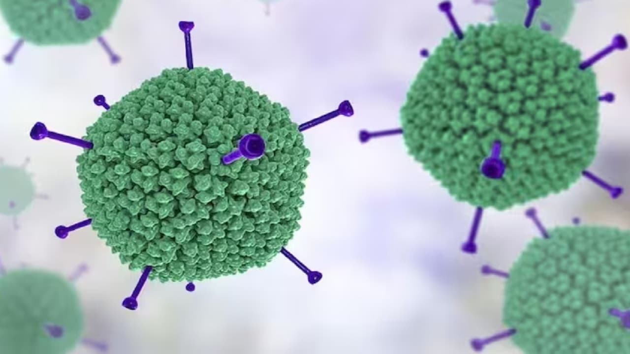 झारखंड में कोरोना के बाद एडिनो वायरस पसार रहा पांव, इन लोगों को विशेष ध्यान देने की जरूरत, गाइडलाइन जारी