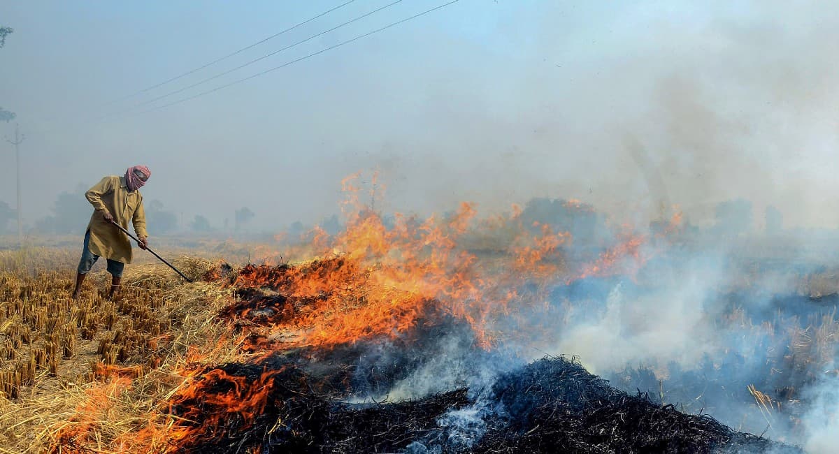 Pollution: पराली जलाने के मामले में सुप्रीम कोर्ट सख्त, केंद्र, पंजाब और हरियाणा से मांगा जवाब