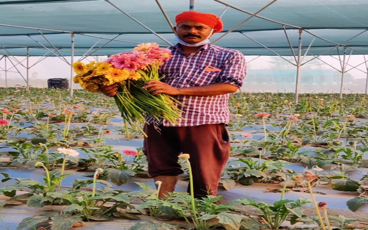 लोहरदगा के अखिलेश एक एकड़ जमीन में उगाते हैं कई किस्म के फूल, पश्चिम बंगाल से लेकर ओडिशा तक है बाजार