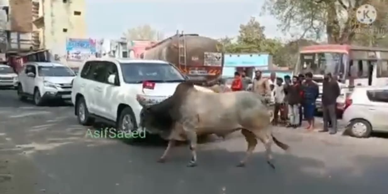 सपा सुप्रीमो अखिलेश यादव के काफिले को बीच बाजार किसने रोका? तंज- बड़ा कठिन है यूपी में सफर चल सको तो चलो