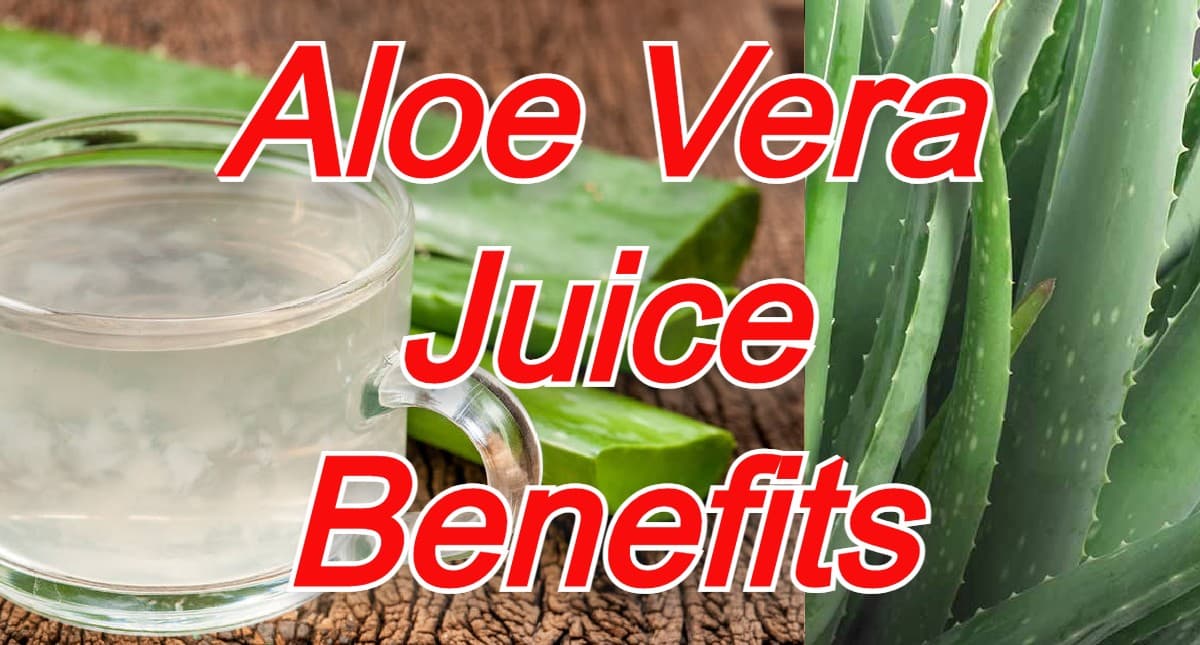 Aloe Vera Juice Benefits: एलोवेरा जूस पीने के हैं अनगिनत फायदे, इसे पीने का सही तरीका जान लें