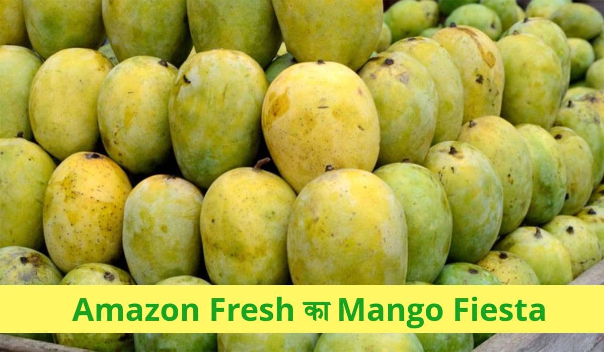 Amazon Mango Sale: अल्‍फांसो से लेकर तोतापरी तक, कोई भी आम यहां करें ऑर्डर, 3 घंटे में पहुंच जाएगा घर पर