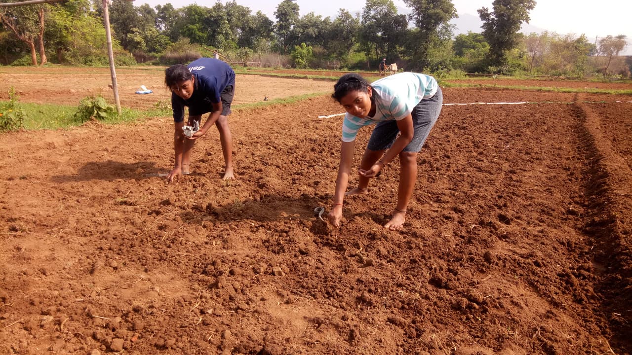 झारखंड की इंटरनेशनल फुटबॉलर आशा कुमारी खेत में काम करने को मजबूर, पूर्व विधायक कुणाल षाड़ंगी ने मदद के बढ़ाये हाथ