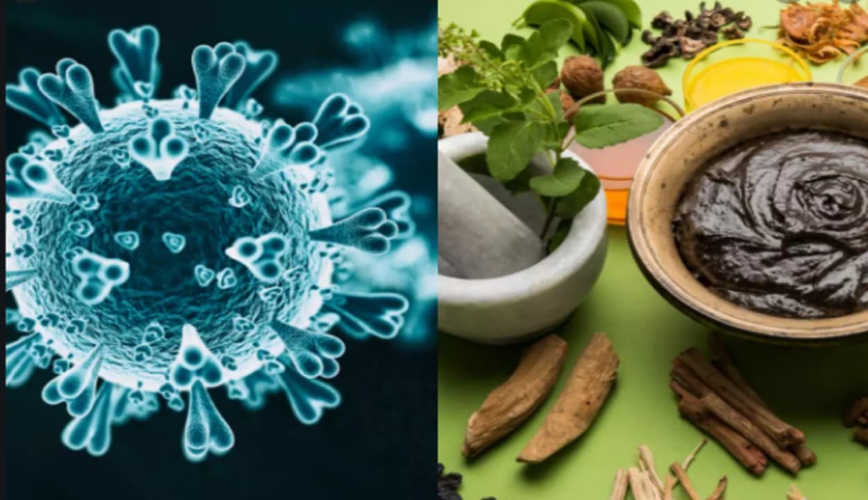 आयुर्वेद में इस्तेमाल की जाने वाली जड़ी-बूटियों में खोजी जा रही है कोरोना की नई दवा, जानिए क्या कहती है रिपोर्ट