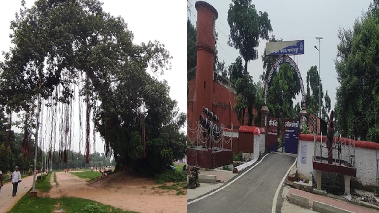 PHOTOS: बिहार के भागलपुर में आजादी के दिनों की यादें मौजूद, पेड़-जेल व टीले तक का है अद्भुत इतिहास..