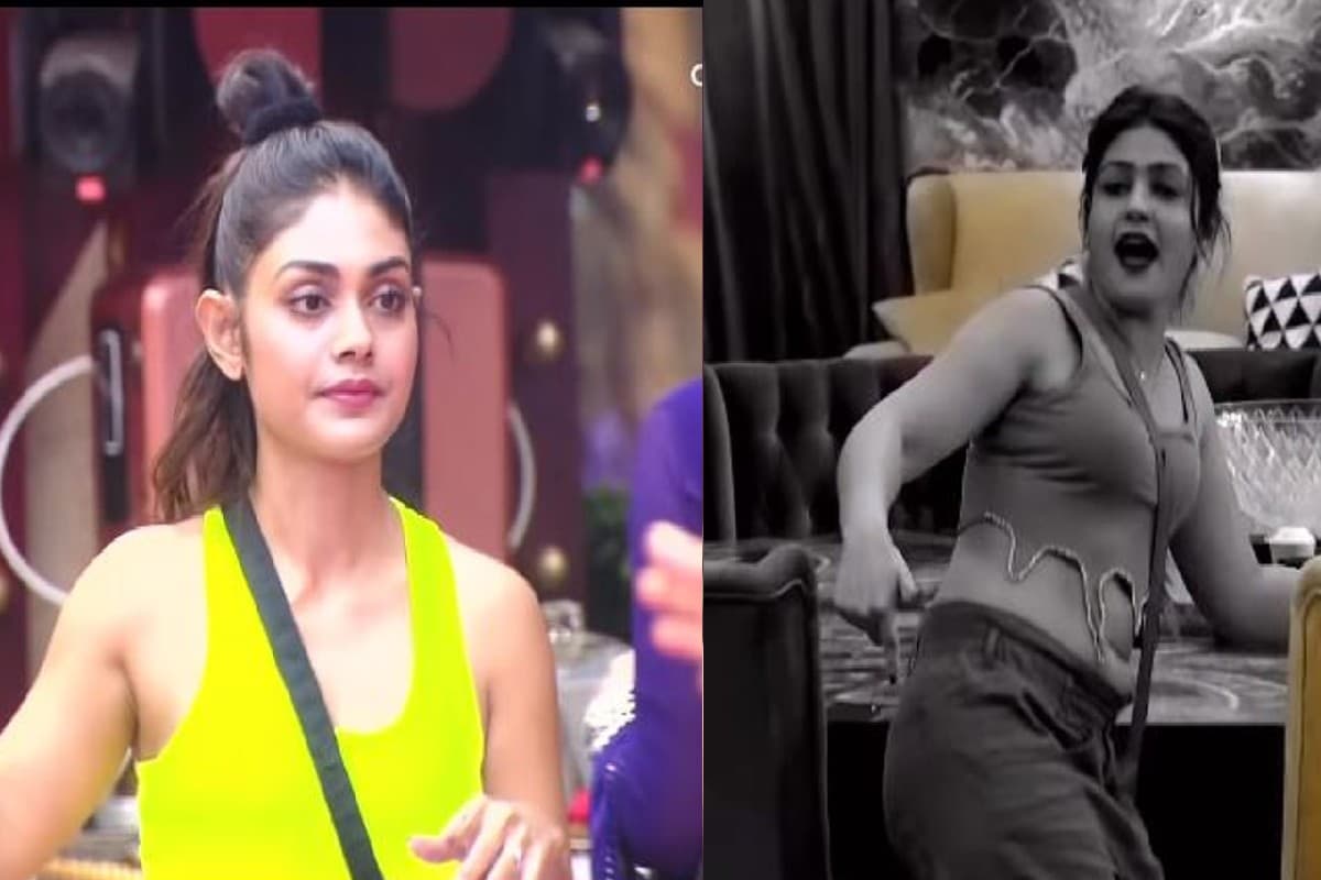 Bigg Boss 16: बिग बॉस के घर में फिर छिड़ी जंग, गोरी नागोरी और श्रीजिता डे के बीच हुई घमासान लड़ाई, VIDEO
