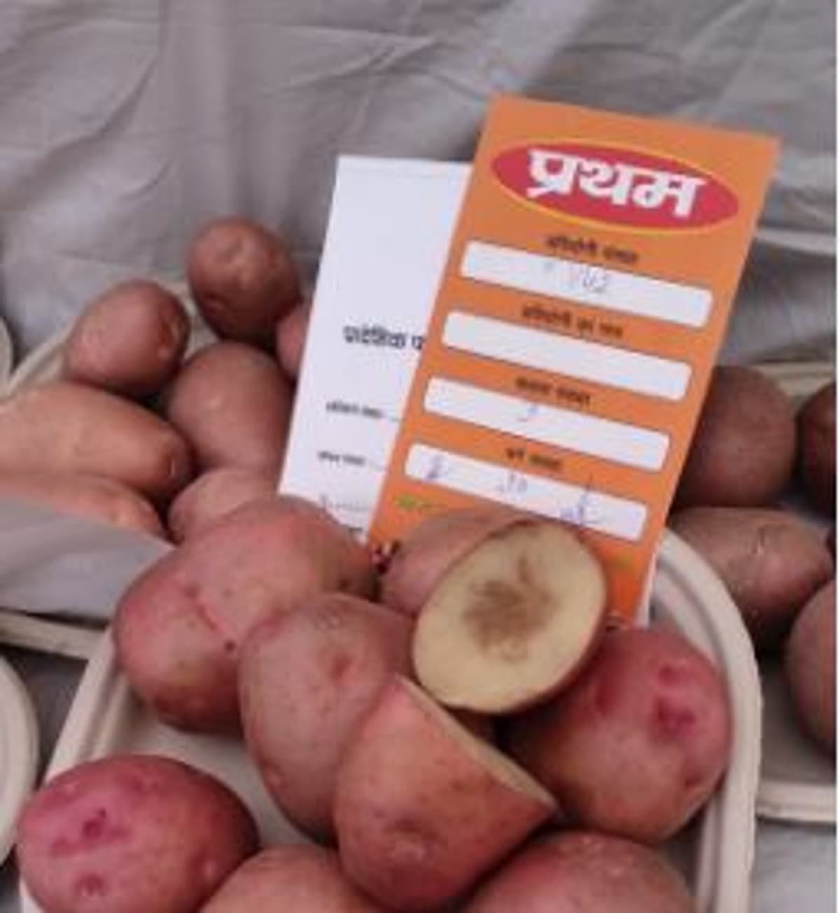 गोरखपुर जेल के आलू को राजभवन में मिला प्रथम पुरस्कार, प्याज को भी मिला दूसरा स्थान