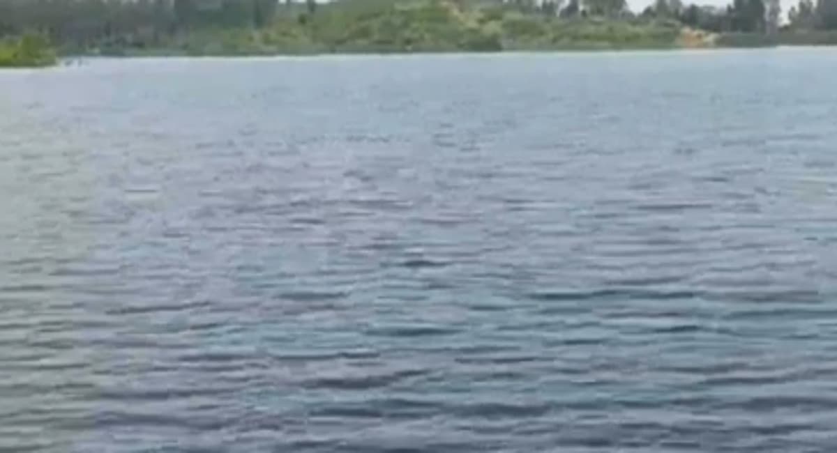 Jharkhand News: गढ़वा के बभनी खाड़ डैम में हादसा, मछली मारने गये नाबालिग समेत 4 युवकों की हुई मौत