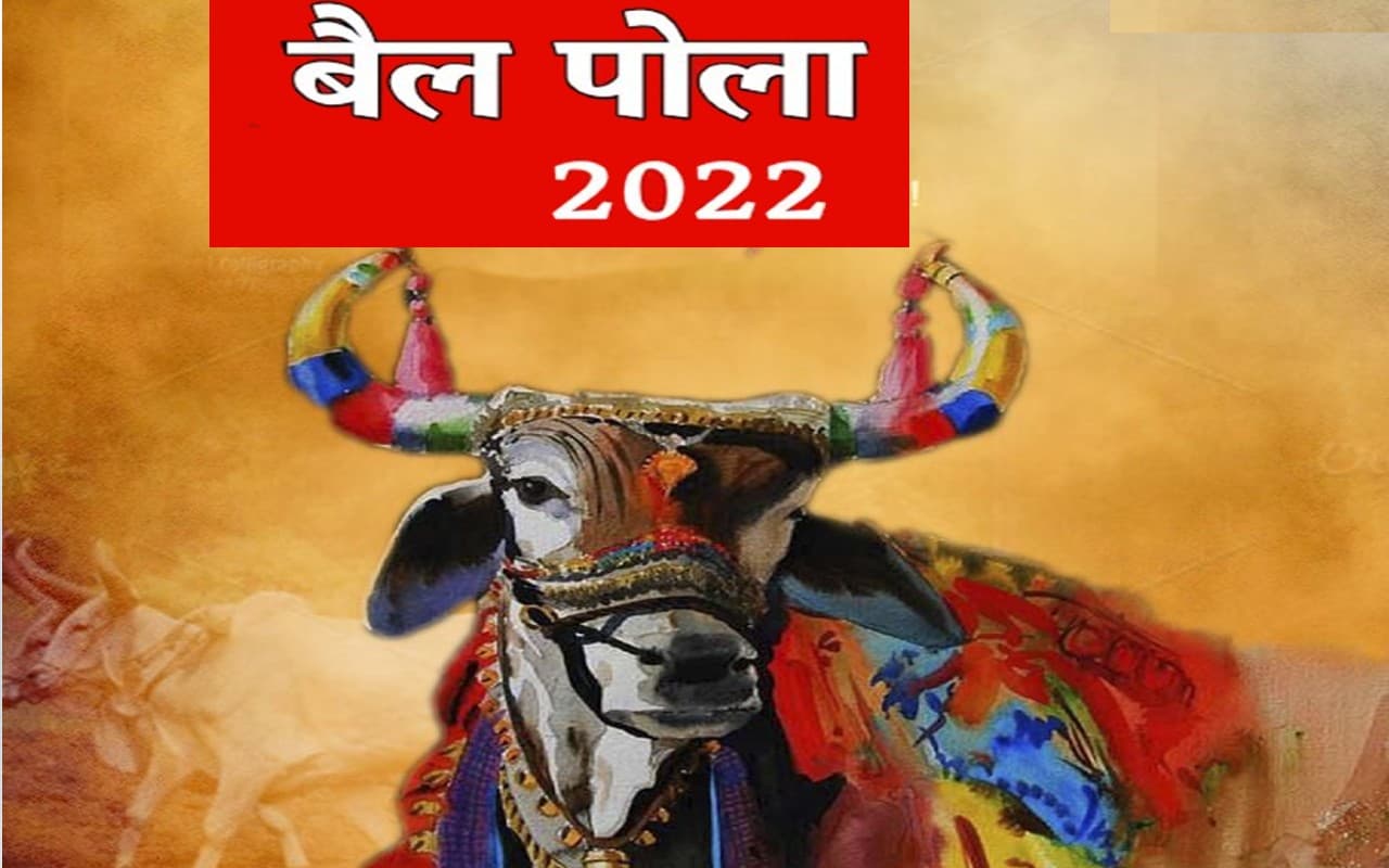 Bail Pola 2022: किसानों के सारथी बैलों को ऐसे दें धन्यवाद, आज मनाएं बैल पोला त्योहार