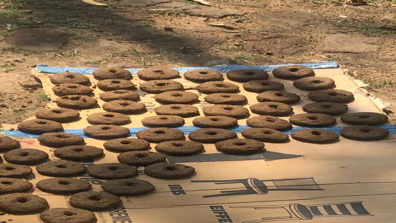 Happy Holi 2021 : मारवाड़ी समुदाय की महिलाएं होलिका दहन को रखती हैं उपवास, निकालती है बाना