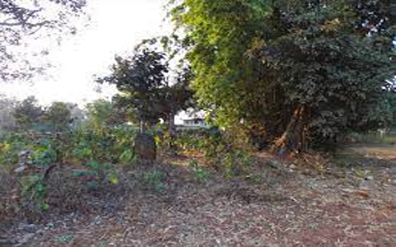 पश्चिमी सिंहभूम के बंदगांव में अंधविश्वास का बोलबाला, एक व्यक्ति के शव को अंतिम संस्कार की नहीं मिली जगह