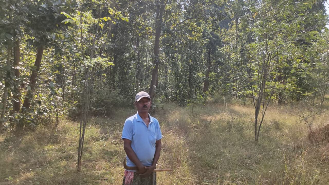16 साल से जंगल बचाने में लगे हैं गुमला के रिटायर्ड फौजी बंधन उरांव, 160 हेक्टेयर भूखंड में लायी हरियाली