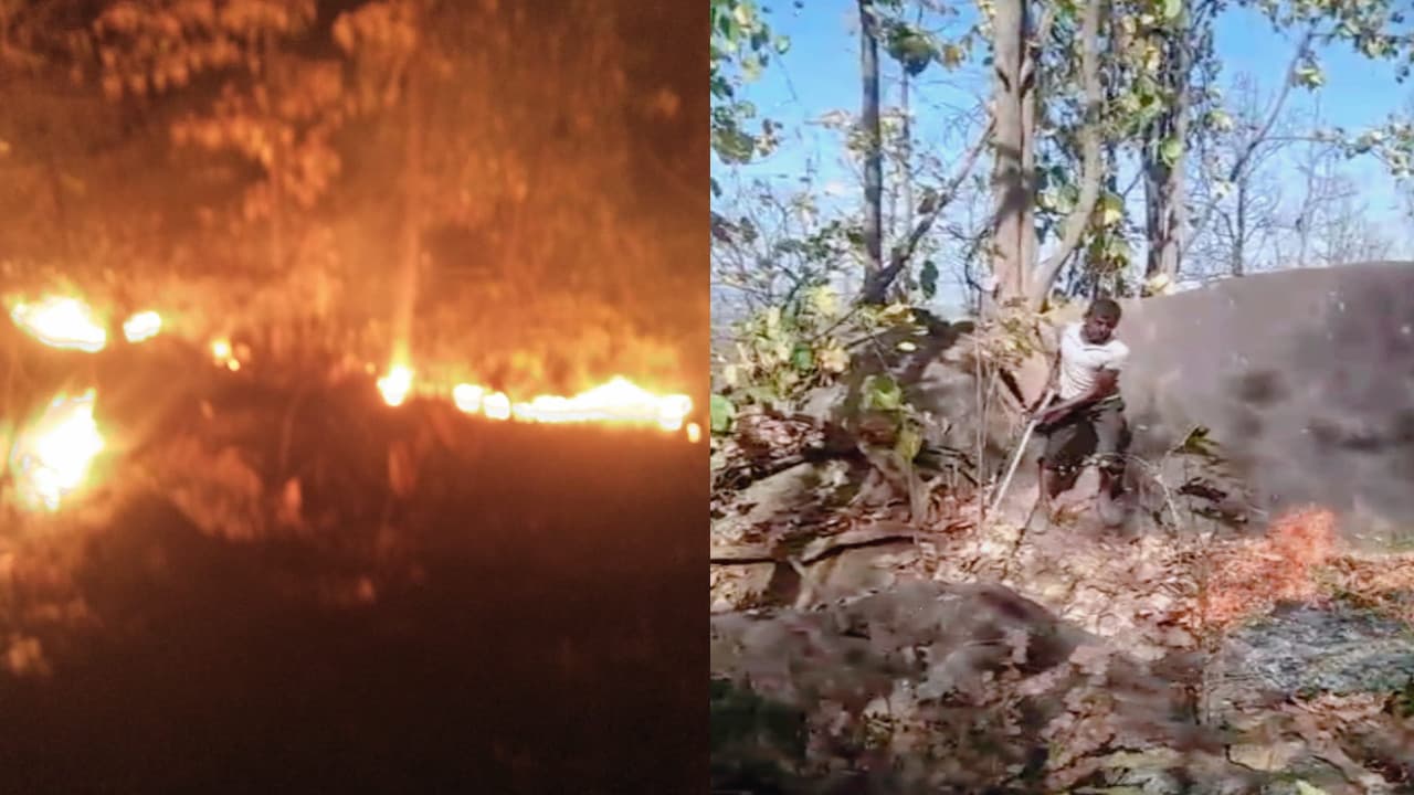 Jharkhand News : बड़कागांव के जंगलों में लगी भीषण आग, जानिए रेंजर ने क्या बताये कारण