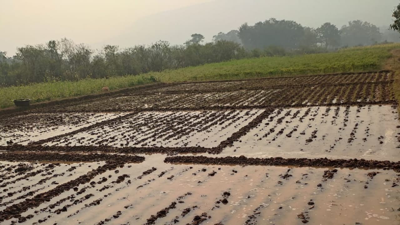 Jharkhand Weather News: झारखंड के इन जिलों में यलो अलर्ट जारी, जानें कहां-कहां होगी बारिश