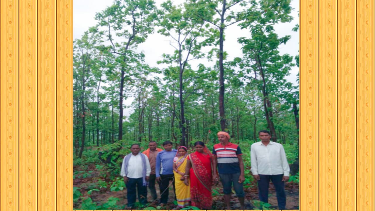 बड़कागांव के काड़तरी और खैरातरी गांव के ग्रामीणों का देखिये जुनून, आंधी- तूफान में भी जंगलों की करते हैं रक्षा