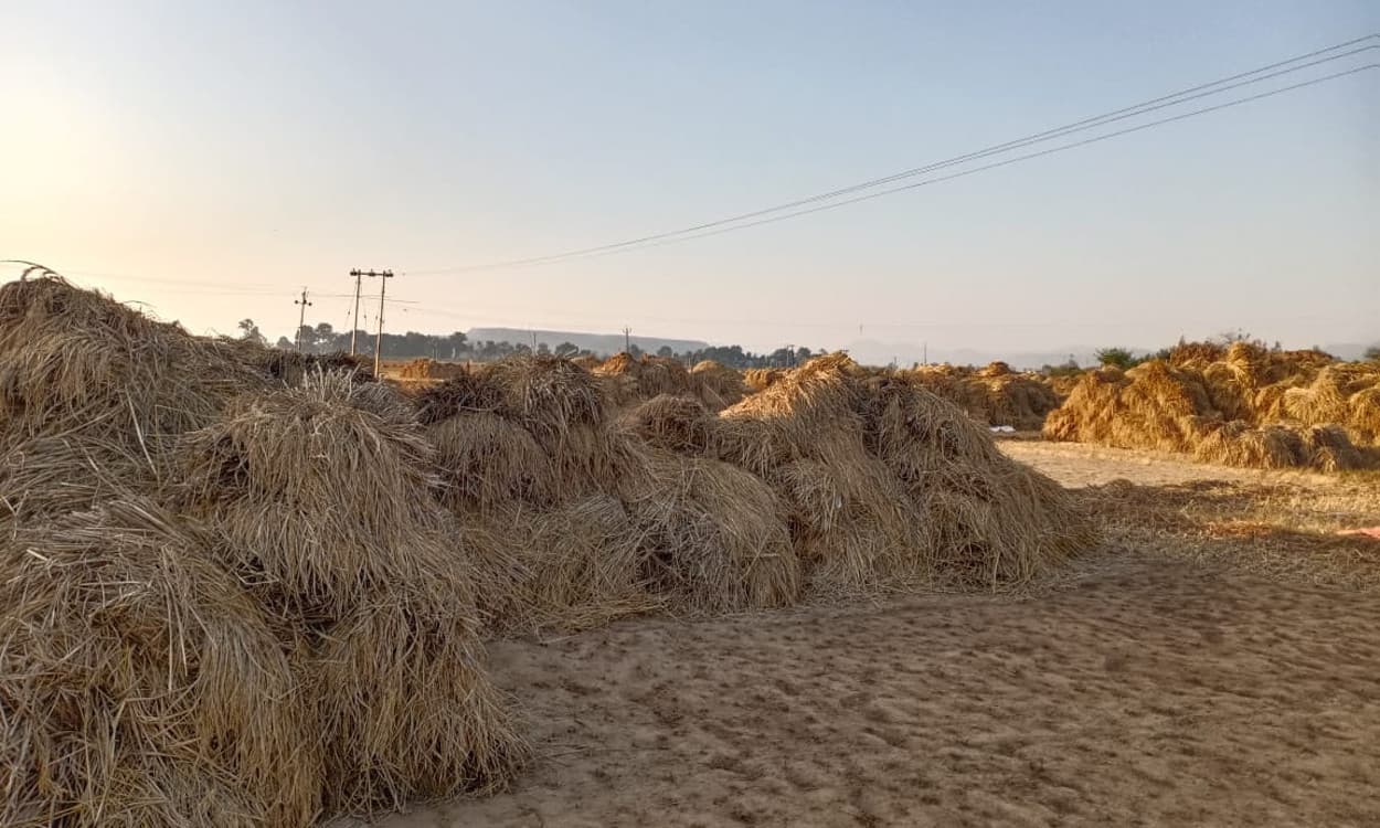 देवघर : जिले में अबतक 26 फीसदी ही अनाज का उठाव, लैप्स हो सकता है मार्च का आवंटन