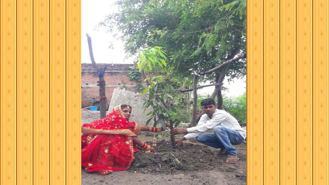 नयी नवेली दुल्हन के साथ बड़कागांव के वार्ड पार्षद ने लगाये दर्जनों पेड़, पर्यावरण संतुलन का दिया संदेश