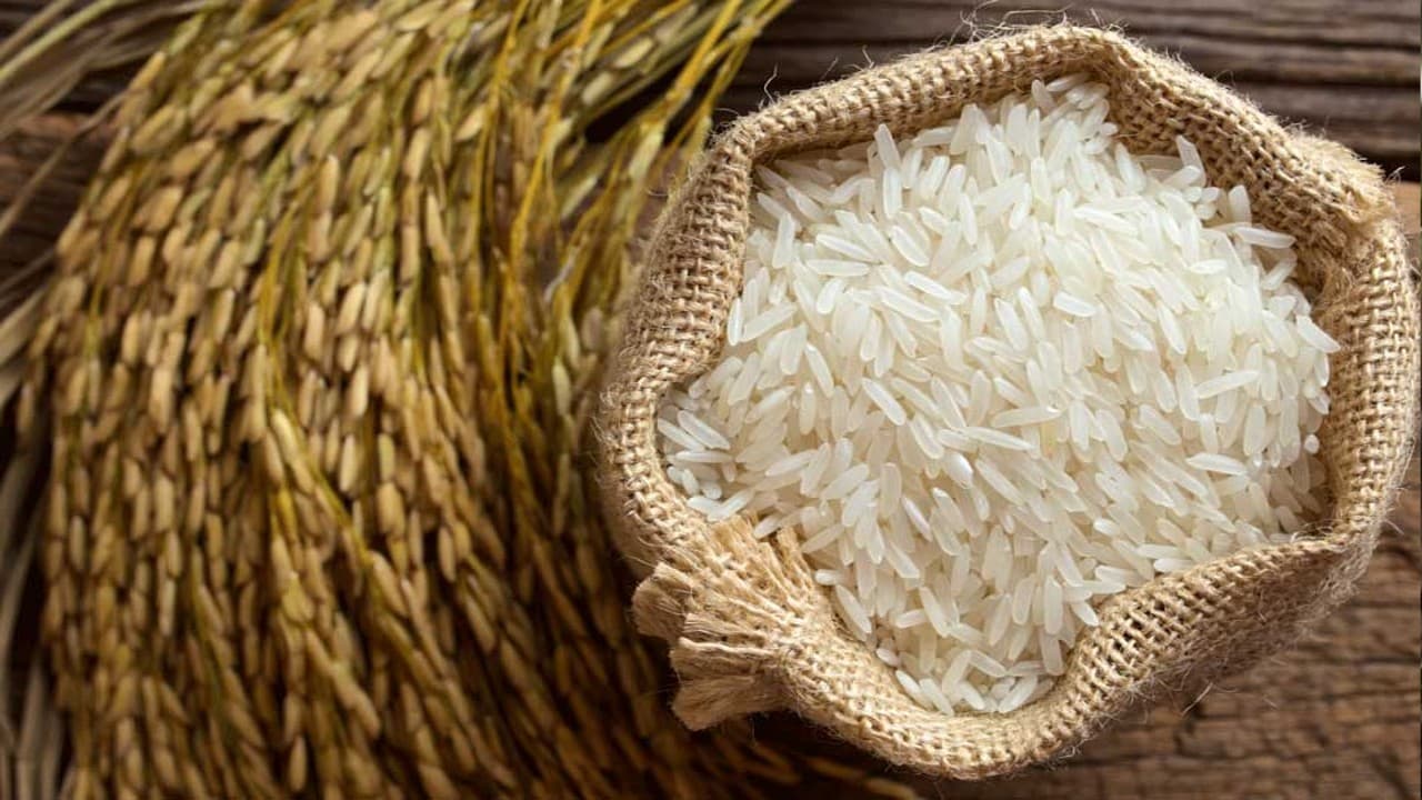 Rice Export: केंद्र सरकार का महंगाई को काबू करने का सख्त प्लान, उसना चावल के निर्यात पर लगाया 20 प्रतिशत शुल्क