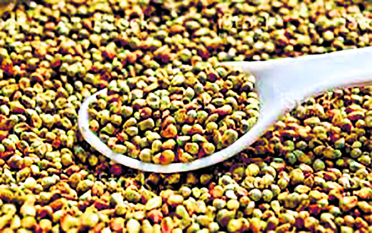 झारखंड में मोटे अनाज की खेती को मिलेगा बढ़ावा, जानें राज्य में कितनी है संभावना