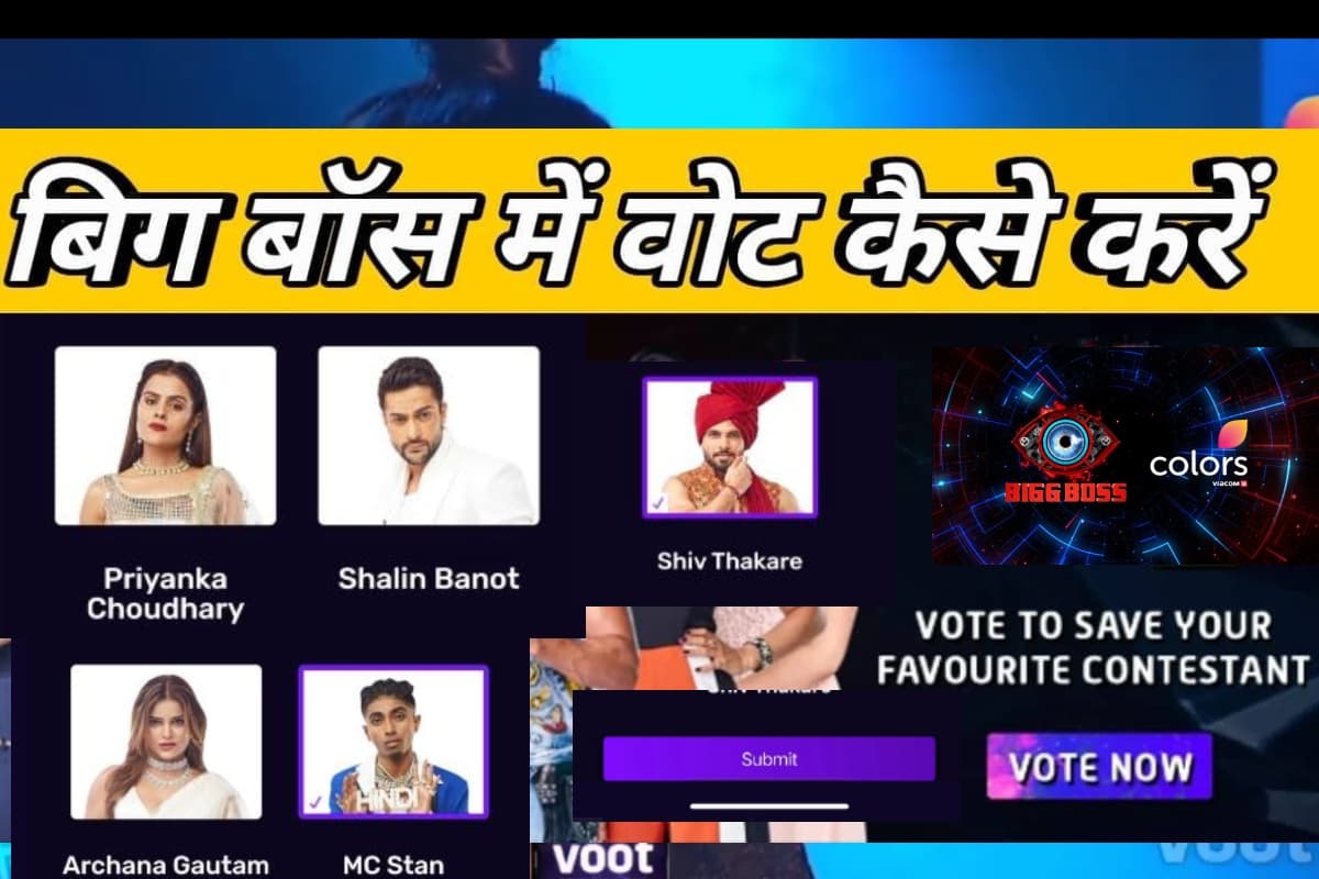 Bigg Boss 16 Winner: कौन जीतेगा बिग बॉस 16 का खिताब, अपने फेवरेट कंटेस्टेंट को जीताने के लिए ऐसे करें वोट