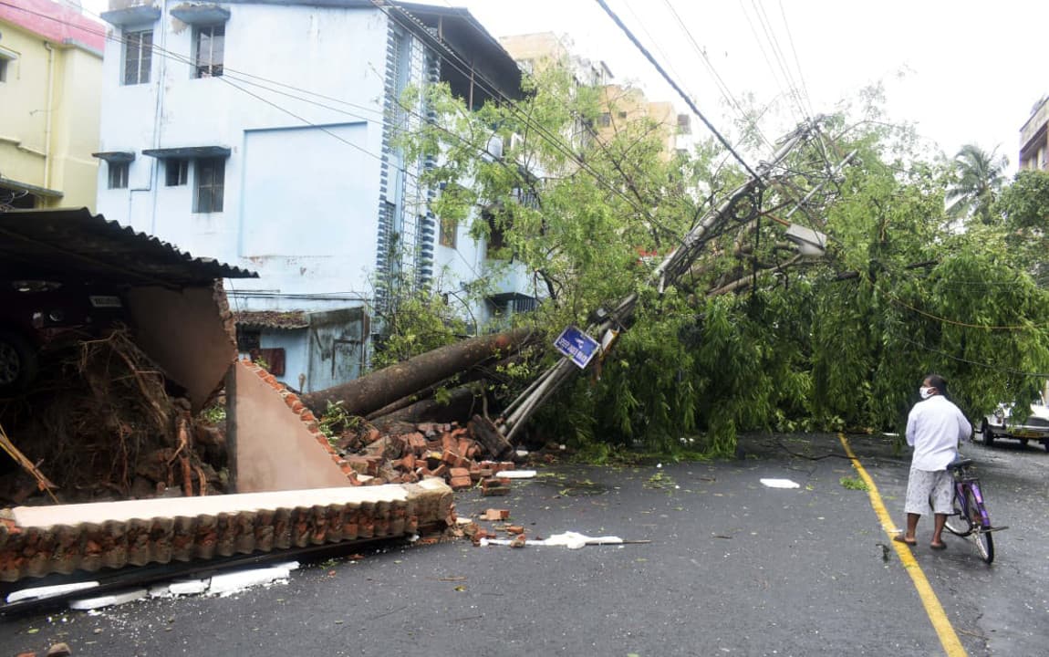 बंगाल में हरियाली लौटाने के लिए 5 जून से प्लांट ट्री- सेव लाइफ योजना की होगी शुरुआत, लगाये जायेंगे 6.5 करोड़ पेड़