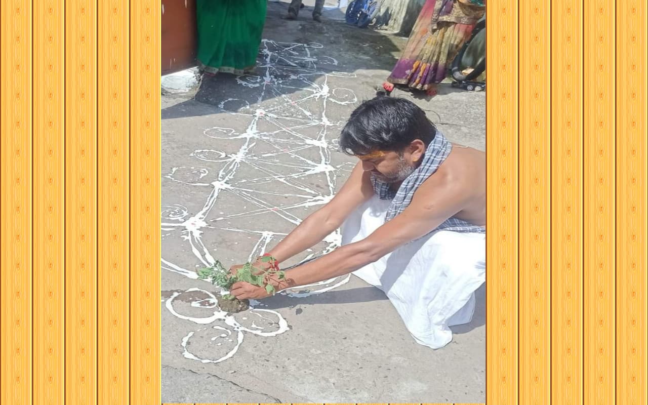 Sohrai 2022: बोकारो के बेरमो कोयलांचल में गोहाल पूजा और गौ चुमान संपन्न, बुधवार को बरदखूंटा का होगा आयोजन