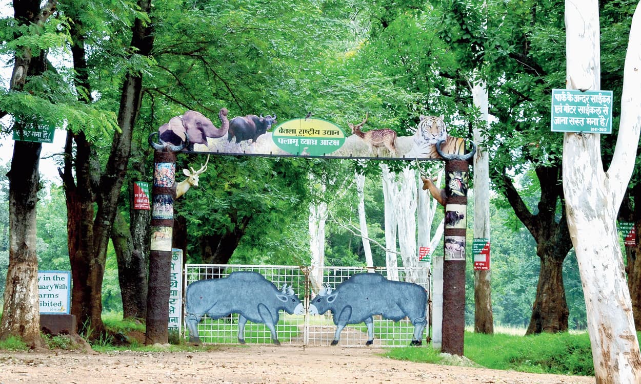 Betla National park Closed