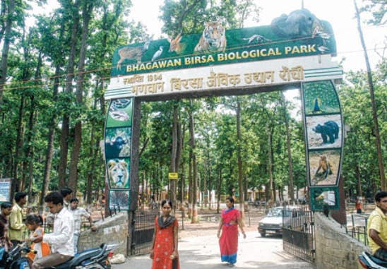 Park reopen update in jharkhand : पार्क, स्विमिंग पूल संचालन पर फौसला जल्द, जानें कब मिल सकती है पार्क संचालन की अनुमति