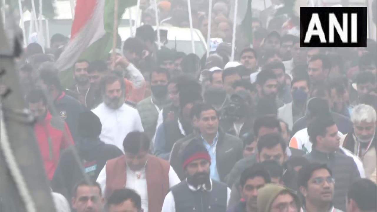 हरियाणा में भारत जोड़ो यात्रा के दूसरे दिन का आगाज, राहुल गांधी के साथ कदमताल करते दिखाई दे रहे कांग्रेसी