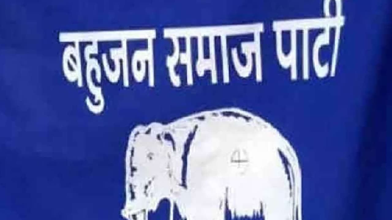 Punjab Election 2022: नवांशहर से बसपा के टिकट पर हुसैनपुर का नामांकन ‘फर्जी'
