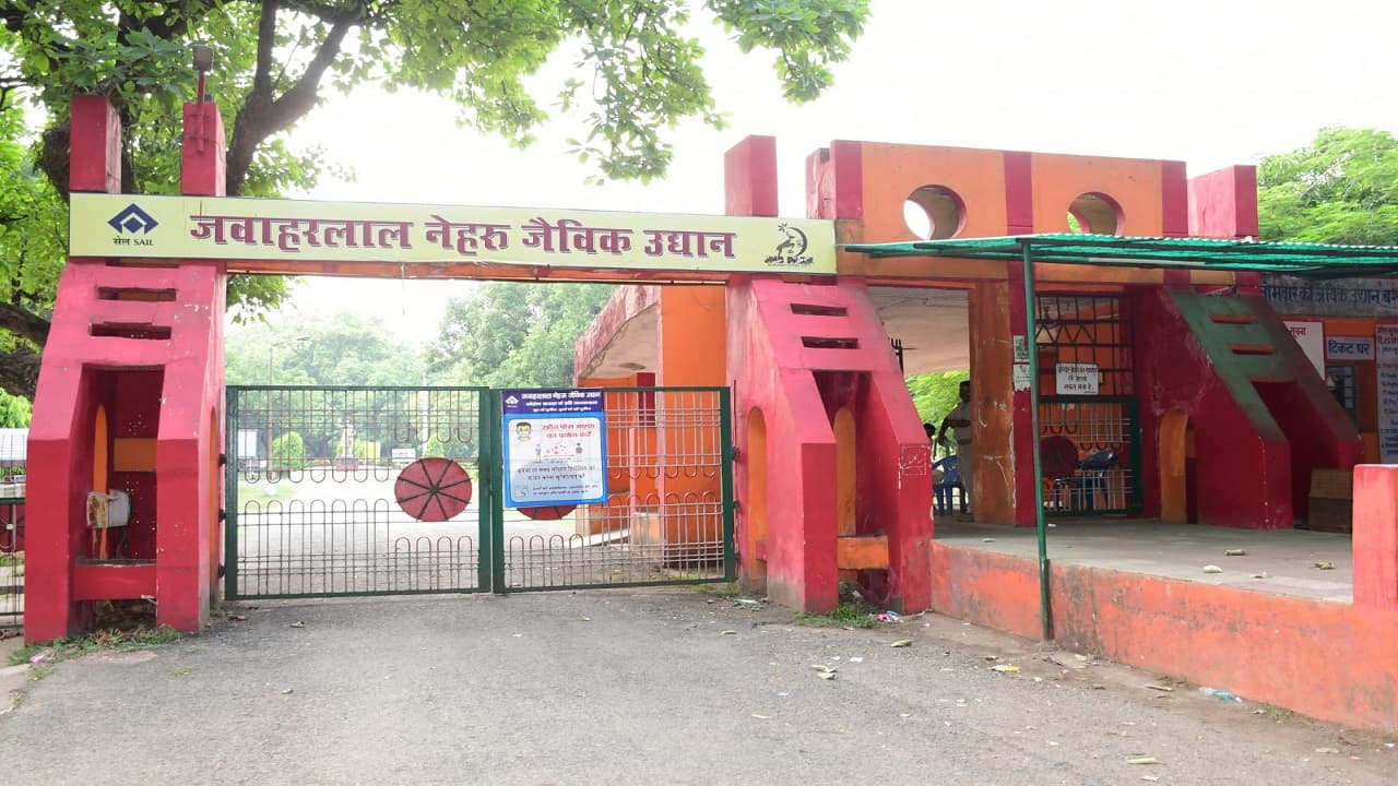 Jharkhand News: बोकारो जैविक उद्यान में दिखेगा तितलियों का खूबसूरत संसार, बटरफ्लाई पार्क का मिलेगा तोहफा Jharkhand News: बोकारो जैविक उद्यान में दिखेगा तितलियों का खूबसूरत संसार, बटरफ्लाई पार्क का मिलेगा तोहफा