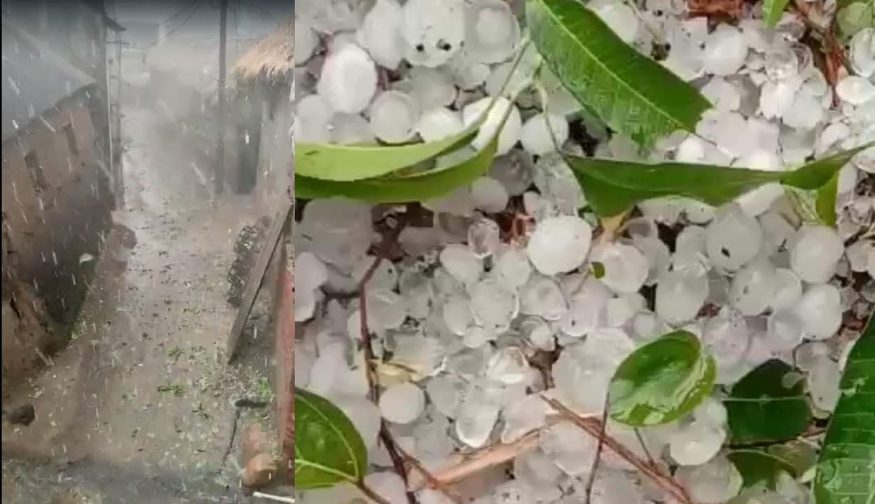 Bihar Weather: 20 मिनट के ओलावृष्टि ने किसानों को किया बर्बाद, ठनका से दो लोगों की मौत, सीएम ने दिया ये आदेश