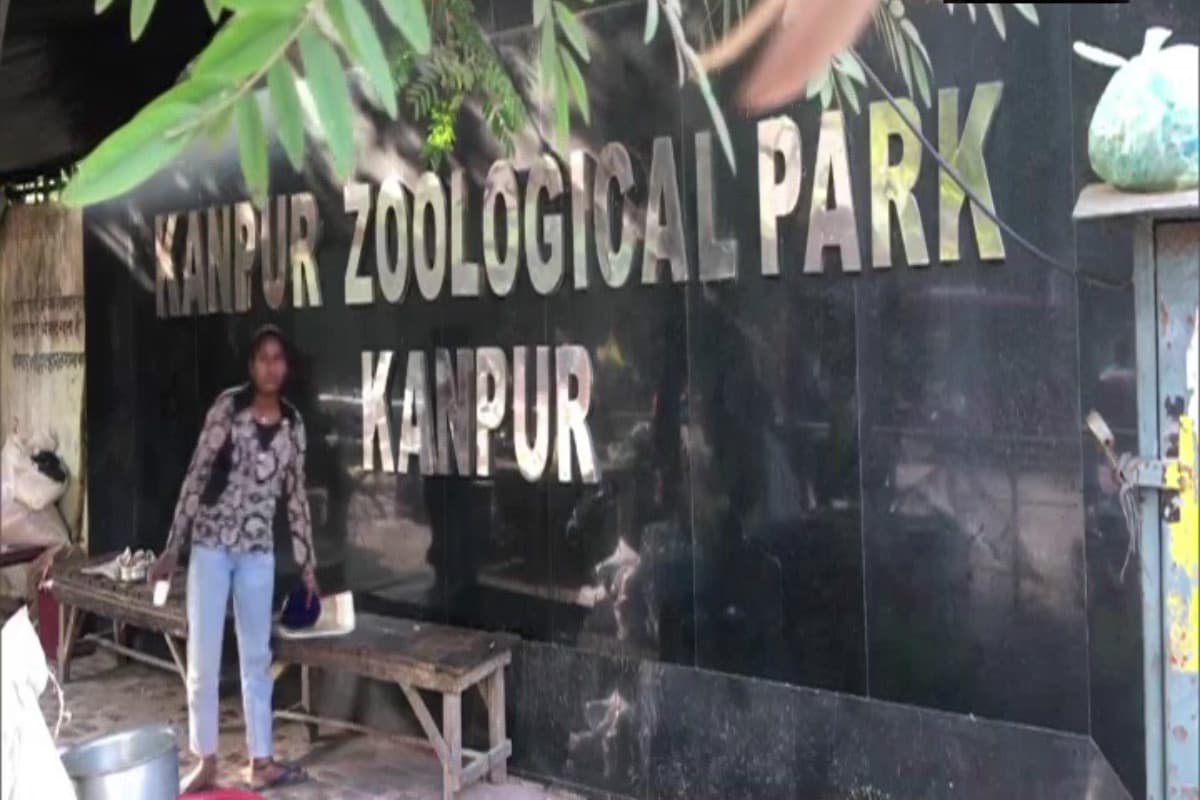 Jharkhand News: बर्ड फ्लू को लेकर पूर्वी सिंहभूम प्रशासन भी अलर्ट, एडवाइजरी जारी, सैंपल लेने का आदेश