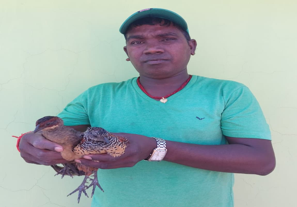 बर्डमैन पन्नालाल ने विलुप्त पक्षी पेंटेड व रेड स्परफॉल को शिकारियों के हाथ से बचायी जान