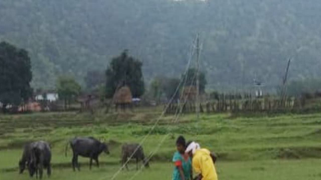 गुमला के बिशुनपुर में 11 हजार वोल्ट तार की चपेट में आने से युवक की मौत, पशु की भी गयी जान