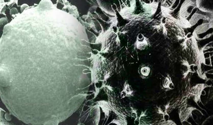 अस्पताल में भर्ती होने वाले 3.6% कोरोना मरीजों में फंगल और बैक्टीरियल संक्रमण, आईसीएमआर की स्टडी में खुलासा