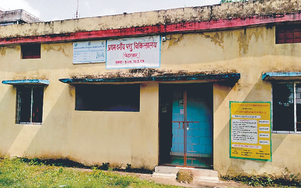 हाल-ए-झारखंड पशुपालन विभाग : बोकारो में 14 चिकित्सकों के भरोसे 23 लाख 80 हजार 670 पशु-पक्षी