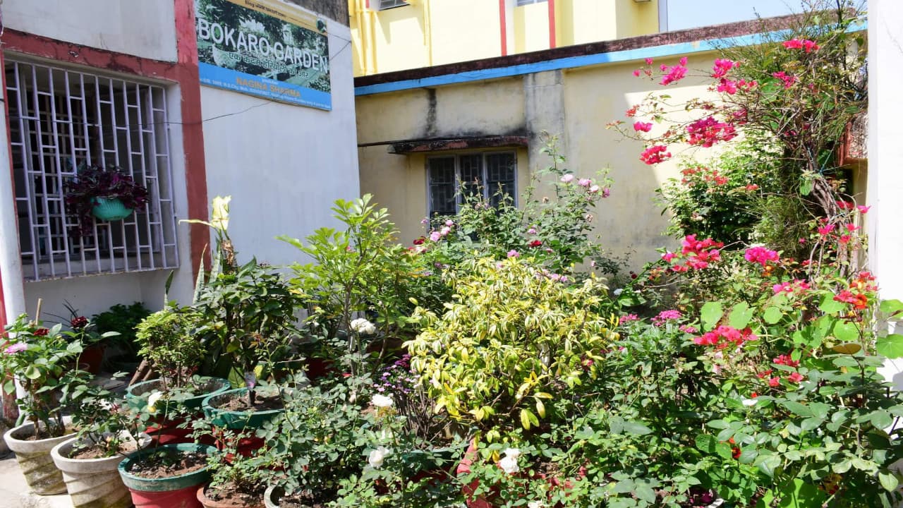 बोकारो की यू-ट्यूबर नगिना शर्मा लोगों को सीखा रही बागवानी का गुर, सवा लाख से अधिक है सब्सक्राइबर