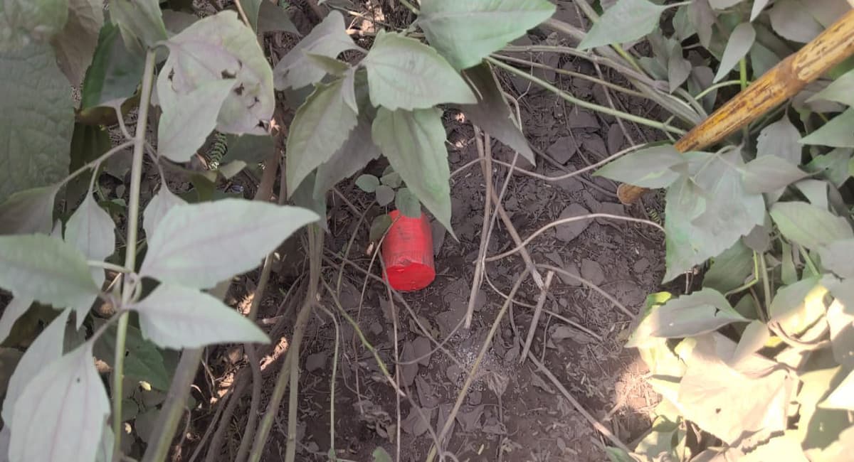 Jharkhand Crime News: धनबाद के बरोरा एरिया में फेंके गये दो बम, आउटसोर्सिंग को लेकर वर्चस्व की लड़ाई जारी