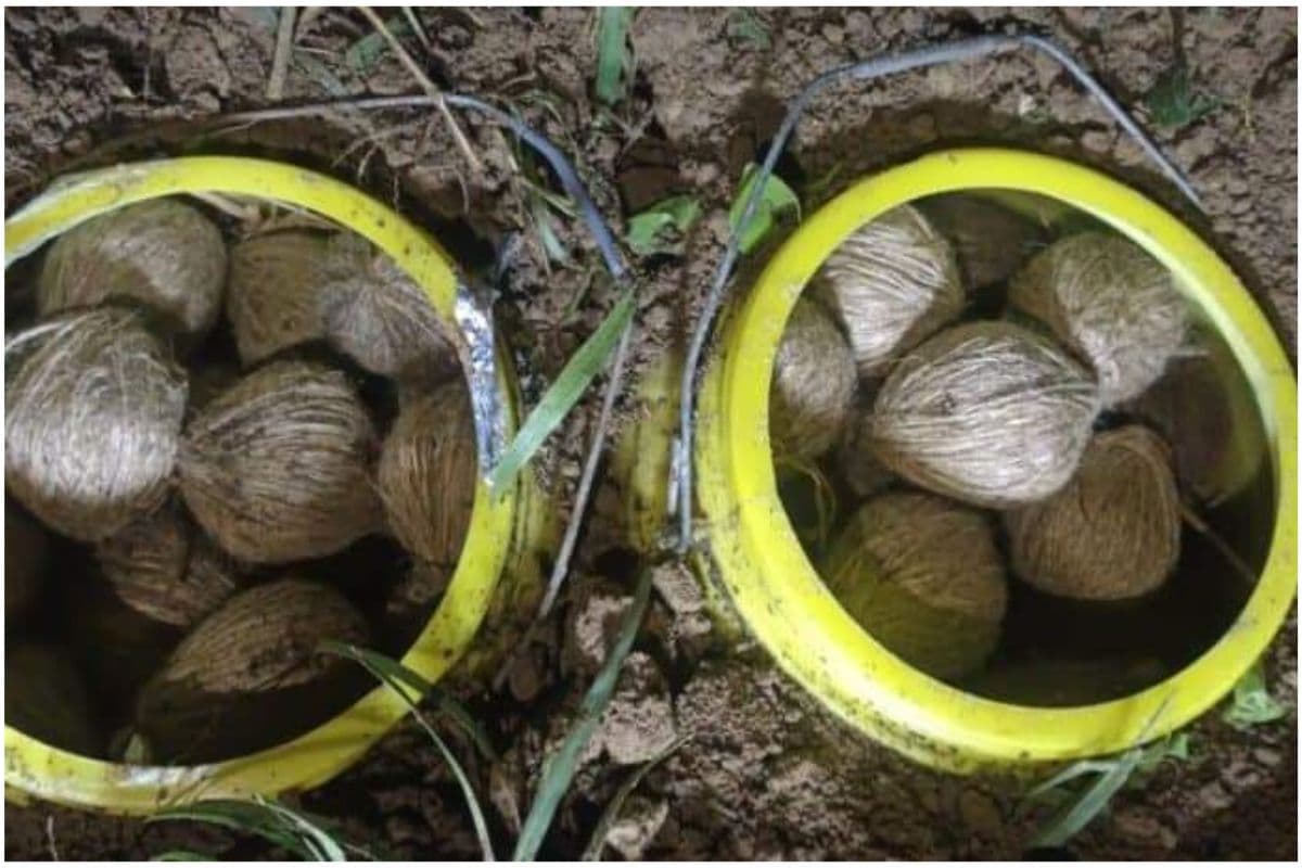 बीरभूम में बम रखने के दौरान विस्फोट, उप प्रधान का करीबी युवक गंभीर रूप से घायल