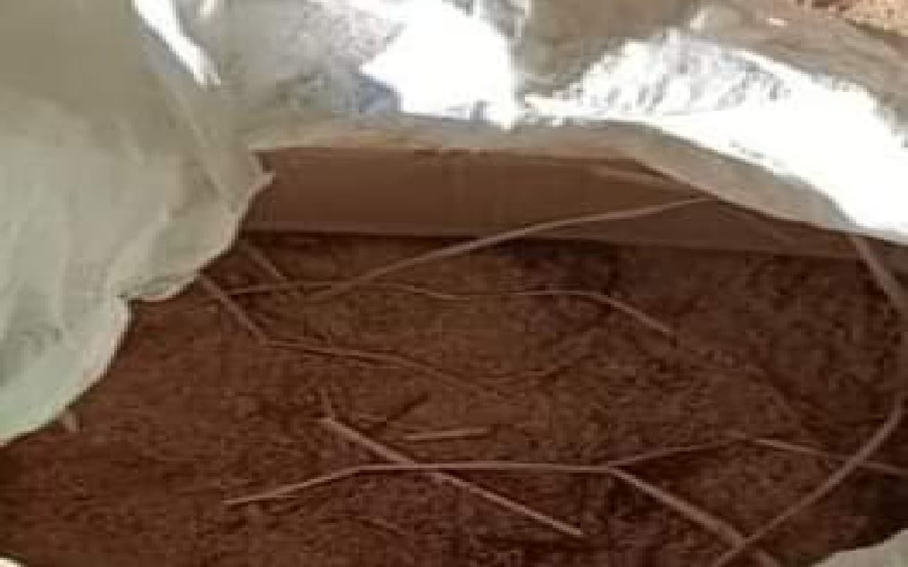 West Bengal: टीएमसी के बर्दवान कार्यालय से झोले में रखा बम बरामद, जांच में जुटी पुलिस