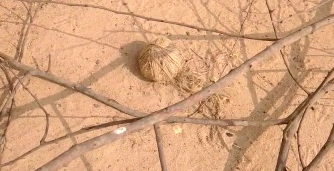 Bengal Chunav 2021 : चुनावी हलचल के बीच बीरभूम के नानूर में बमबाजी, TMC और BJP के बीच कार्यकर्ता भिड़े