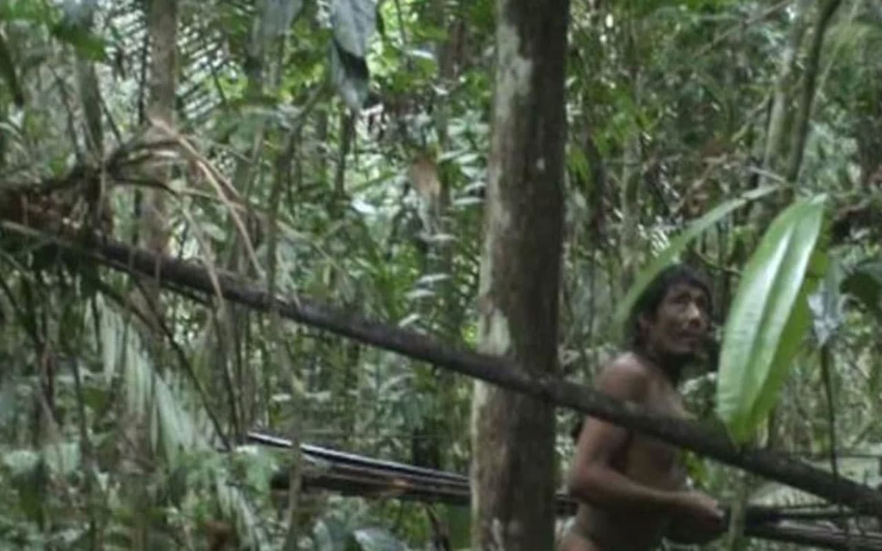 Brazil's Lonely Man Of The Hole Died: दुनिया के सबसे अकेले आदमी की हुई मौत, 26 साल से अकेला था ये शख्स