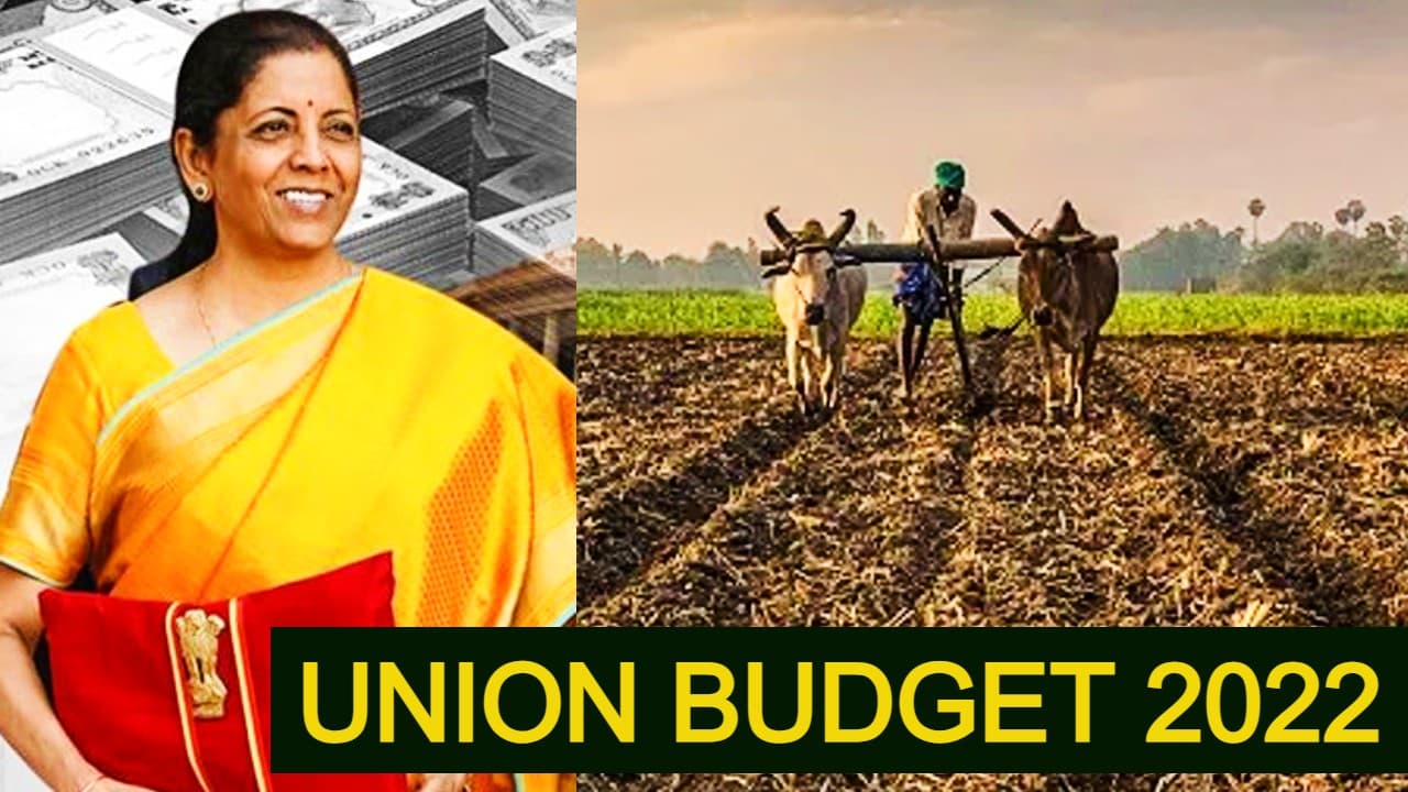 Union Budget 2022: चुनावी माहौल में आम बजट से किसानों को बड़ी आस, जानें उनके मन में क्या चल रहा है खास?