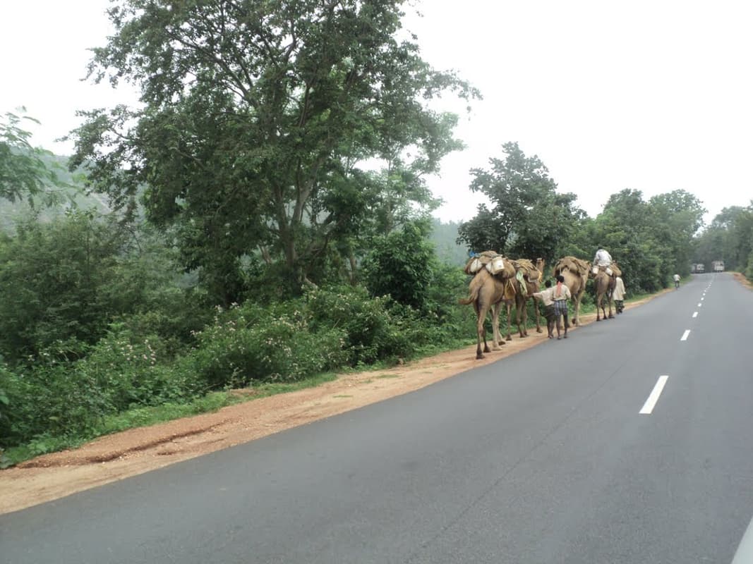 Covid19 in Jharkhand: बुंडू के जंगलों में होगा कोरोना से मरने वालों का अंतिम संस्कार, सरकार ने जमीन चिह्नित किया Covid19 in Jharkhand: बुंडू के जंगलों में होगा कोरोना से मरने वालों का अंतिम संस्कार, सरकार ने जमीन चिह्नित किया